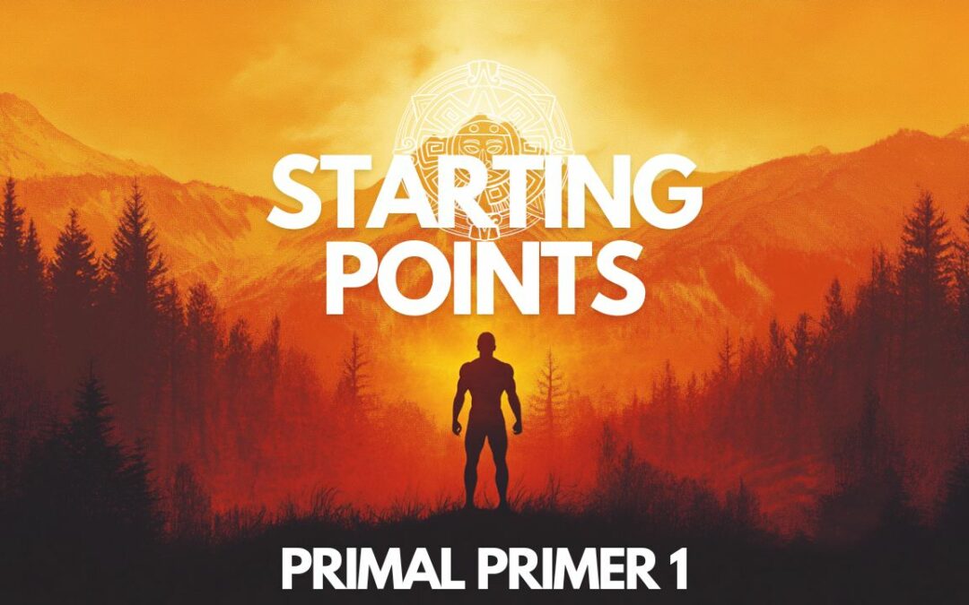 Primal Primers Step 1 – Numbers, Steps, and Starting Points